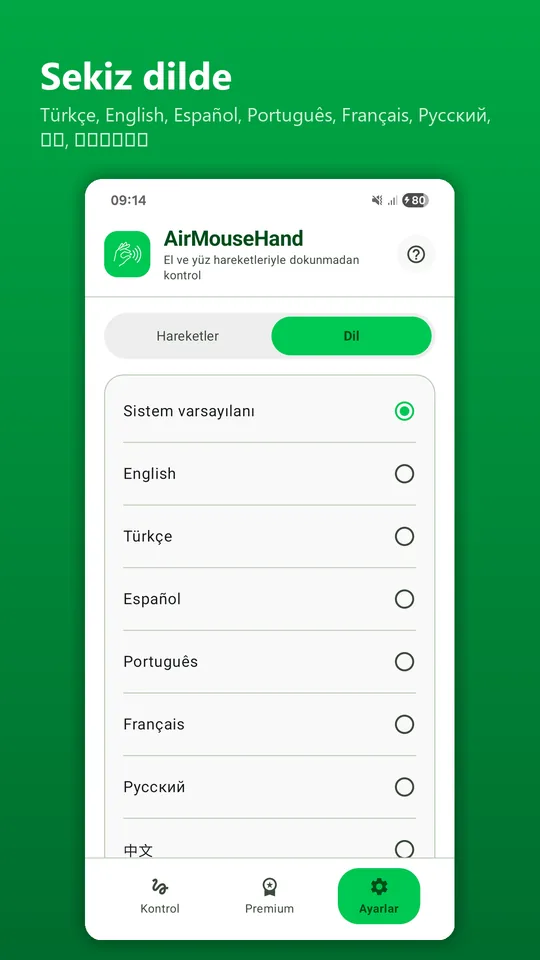 Dil ayarları: sekiz dil